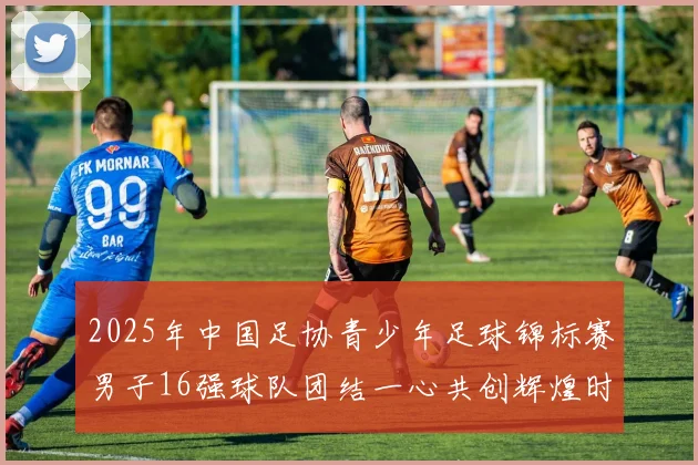 2025年中国足协青少年足球锦标赛男子16强球队团结一心共创辉煌时刻