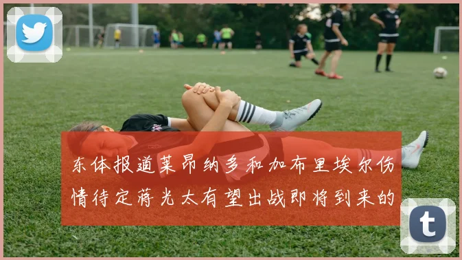 东体报道莱昂纳多和加布里埃尔伤情待定蒋光太有望出战即将到来的比赛