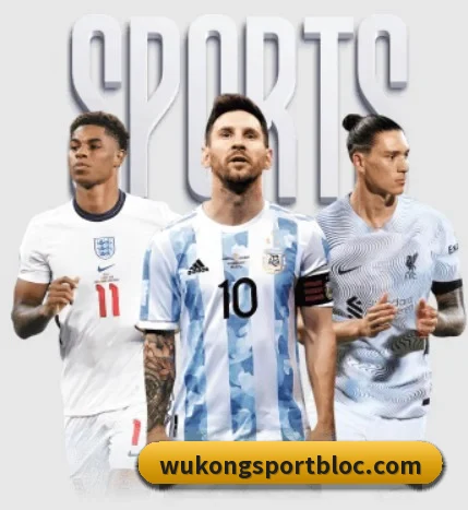 了解平台 - 体育资讯内容服务（WukongSports）