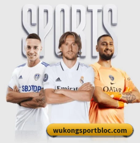 了解平台 - 体育资讯内容服务（WukongSports）